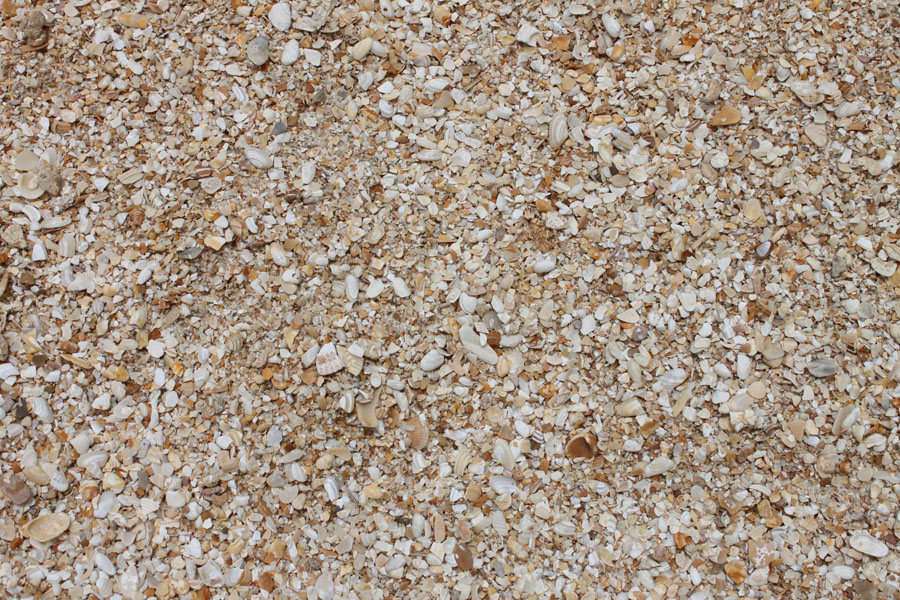 Crushed coquina