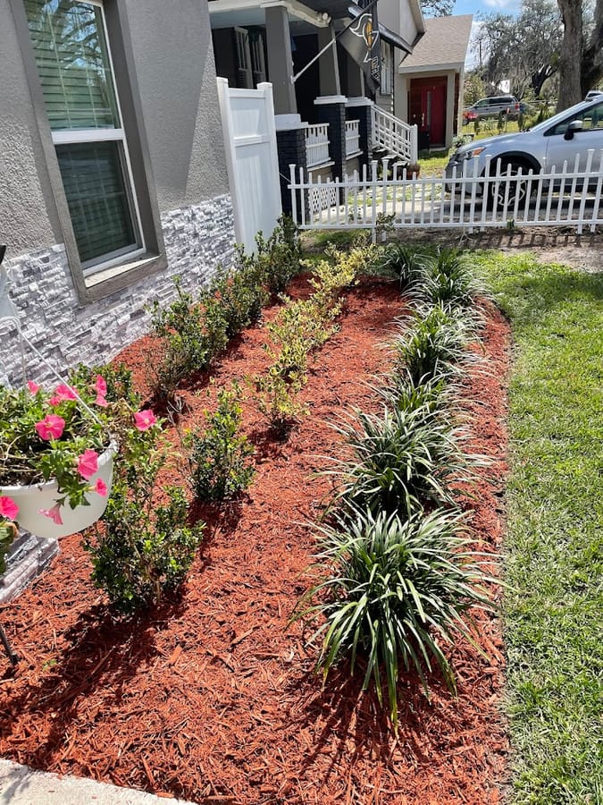 Fresh red mulch bed installed along a front walkway